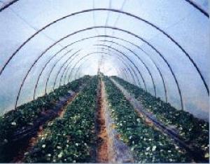 Folie pentru solar PLASTIKA KRITIS